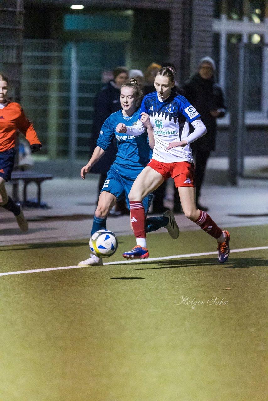 Bild 233 - F SC Alstertal-Langenhorn - Hamburger SV 3 : Ergebnis: 2:2